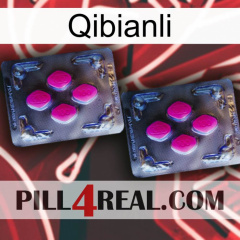 Qibianli 01